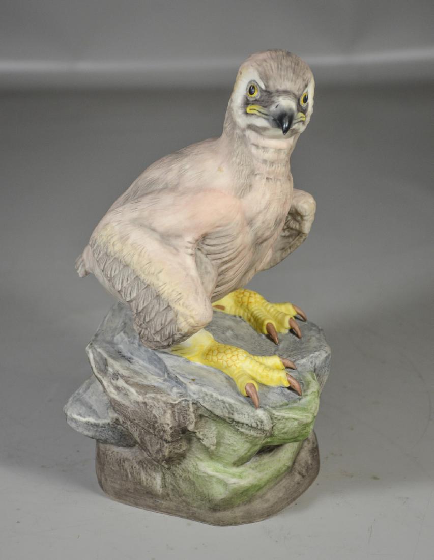 Boehm Young American Bald Eagle porcelain bird (1 of 7)