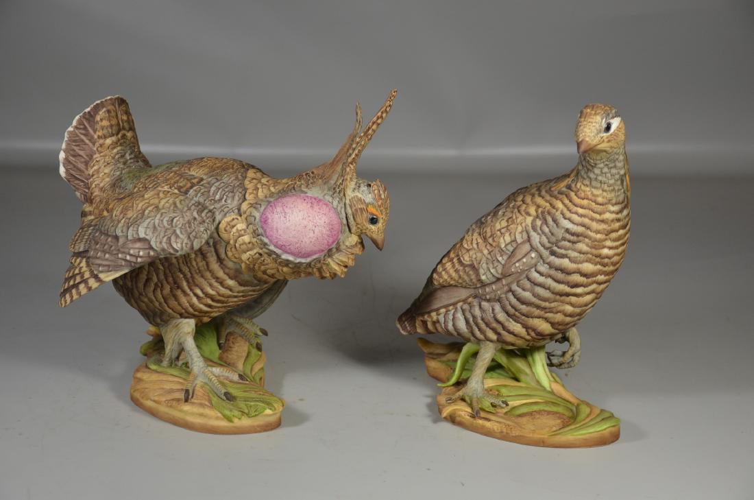 2 Boehm Lesser Prairie Chickens porcelain bird (1 of 6)