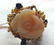 1012: 14KT Y.G ROSE CORAL RING HAND MADE