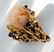 1012: 14KT Y.G ROSE CORAL RING HAND MADE - 2