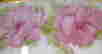 item-5392521=3
