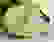item-1559289=2