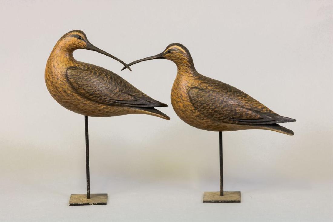 David Ward Pair of Hudsonian Curlews, Essex, CT,: 1 Preening & 1 Slight Turned Head, Glass Eyes, Hollow Bodies, Excellent Original Condition, Branded on Bottom, On Metal Stands, Turned Head is 15"L x 12.5"T, Preening is 11"L x 13"T, Est. 1500-1700