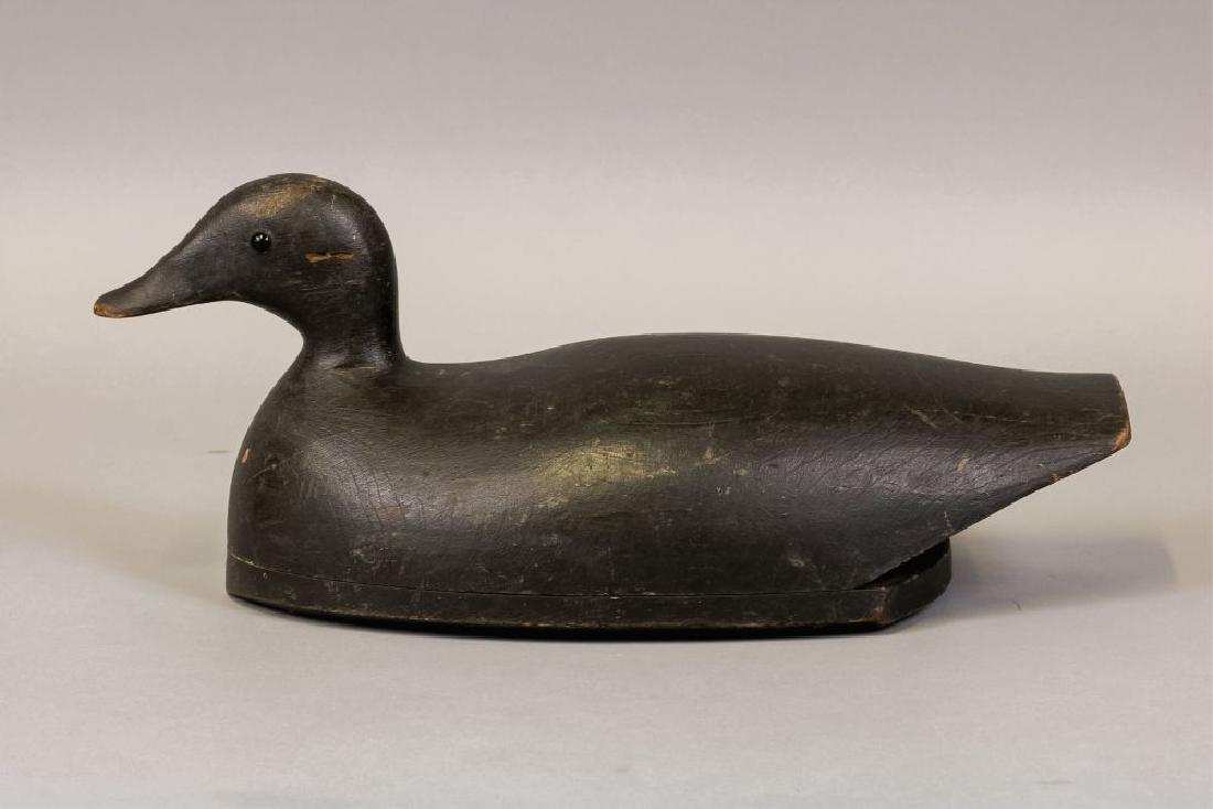 Joe Lincoln Scoter Decoy, Accord, MA, Glass Eyes, (1 of 6)