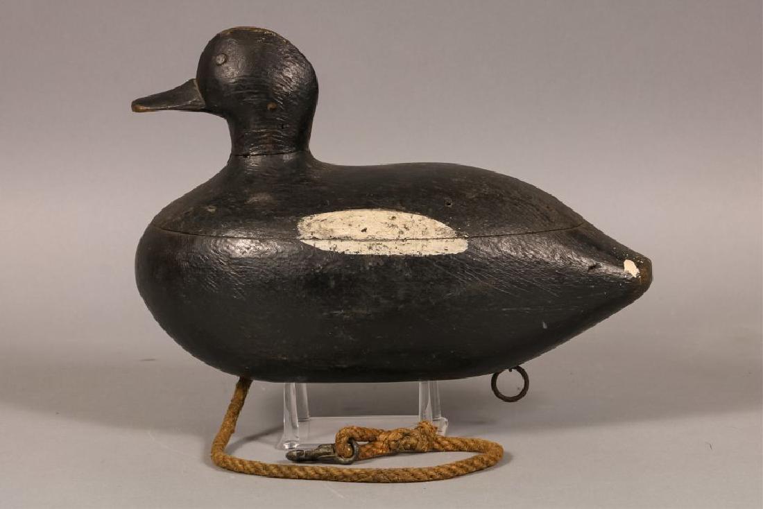 White Winged Scoter Decoy by Unknown East coast (1 of 6)