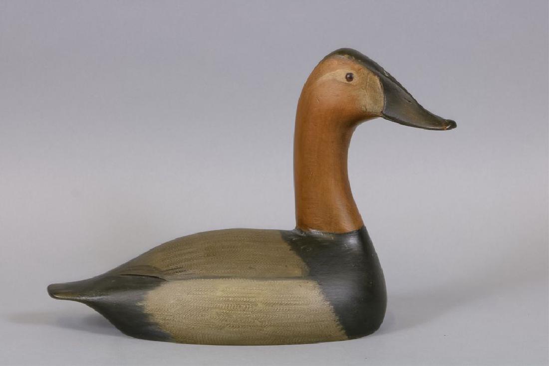 Canvasback Hen Duck Decoy by Unknown Carver, (1 of 6)
