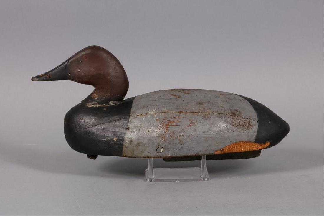 Early Canvasback Drake Duck Decoy by Unknown (1 of 6)