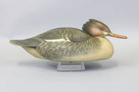 Jim Schmiedlin Red Breasted Merganser Hen Duck