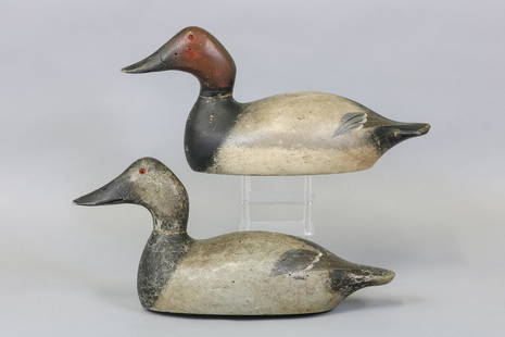 Evans Pair of Canvasback Duck Decoys, Ladysmith,: WI, Mammoth Grade, Glass Eyes, Solid Bodies, Drake is Strong Original Paint with very light gunning wear and a few shot marks & Strong Stamp on Bottom, Drake has crack in neck and small flaw in side o