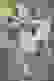item-73961951=2