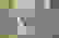 item-73961951=4