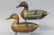 Dennis Entwistle Pair of Green winged Teal Duck