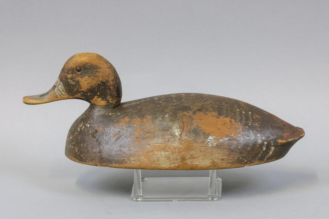 Will Smith Bluebill Hen Duck Decoy, Bloomfield (1 of 6)