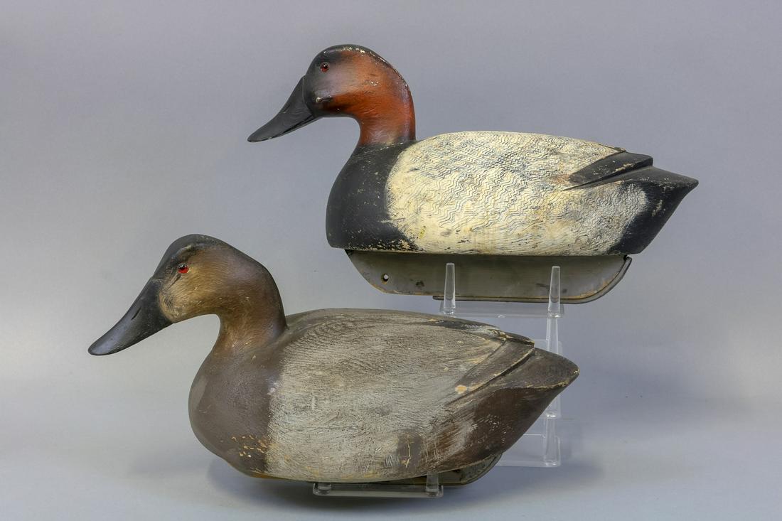 Early Frank Cummins Pair of Canvasback Duck (1 of 6)