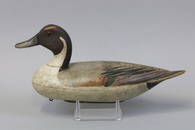 Rare Stephen Lane Pintail Drake Duck Decoy,