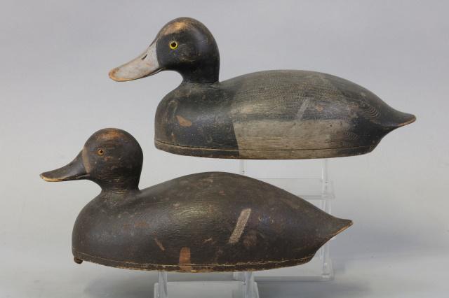 Buck Crawford pair of Bluebill Duck Decoys, Smith: Buck Crawford pair of Bluebill Duck Decoys, Smith Falls, Ontario, Glass Eyes, Hollow Bodies, Dry Original Paint, Drake has good combing and areas of light wear & has a old sliver repair on top of back