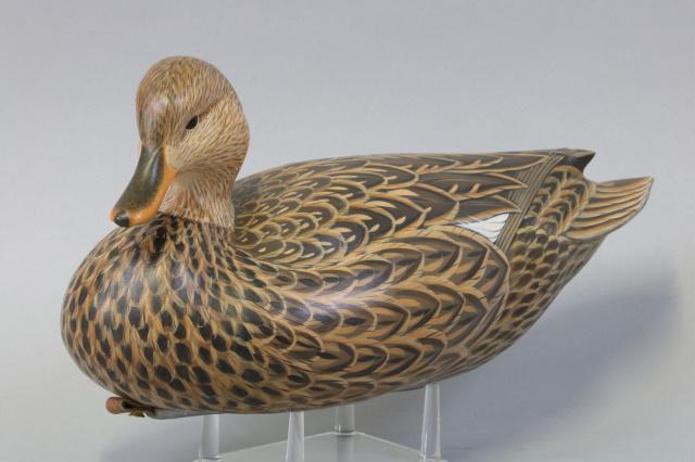 Ben Heineman Gadwall Hen Duck Decoy, Durham, NC, Glass: Ben Heineman Gadwall Hen Duck Decoy, Durham, NC, Glass Eyes, Hollow Body, Mint Original Paint, Turned Head, Signed on Bottom, Very Nice Paint Detail, 14"L, Est. 500 - 700