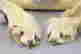 item-82372945=5