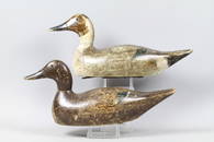 Evans Pair of Mammoth Grade Pintail Duck Decoys,