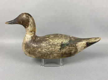 Evans Mammoth Grade Pintail Drake Duck Decoy,