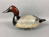 Evans Mammoth Grade Canvasback Drake Duck Decoy,