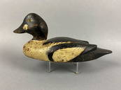 Early Goldeneye Drake Duck Decoy attributed to the