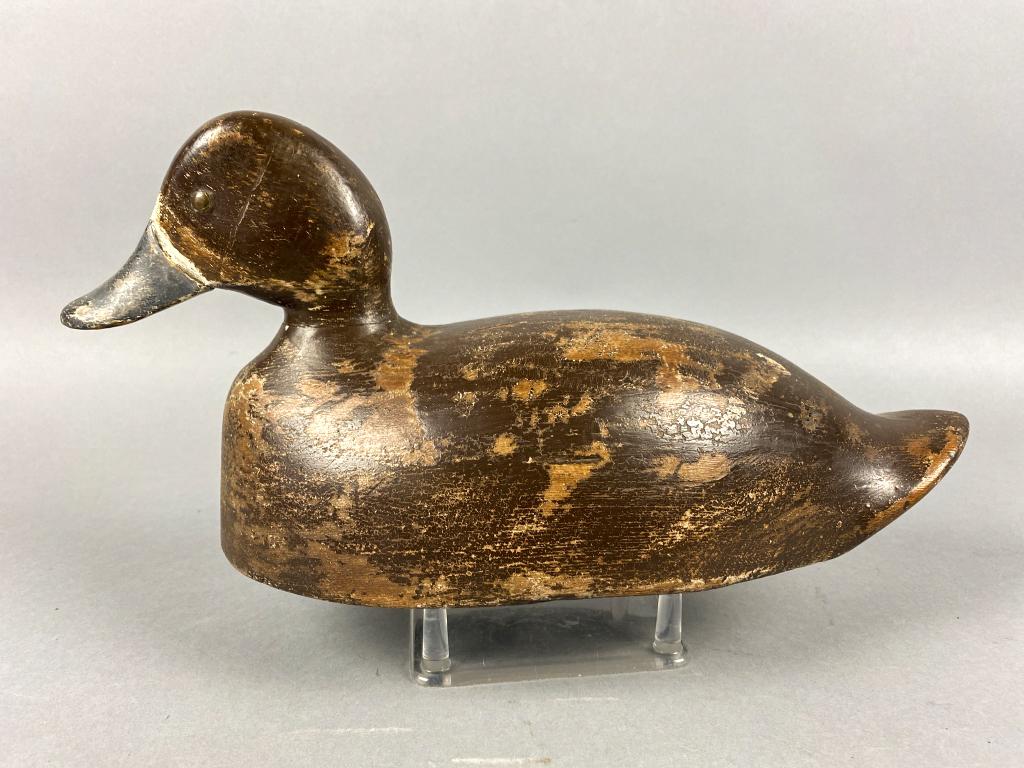 Bluebill Hen Duck Decoy by Unknown Carver, tack eyes, (1 of 4)