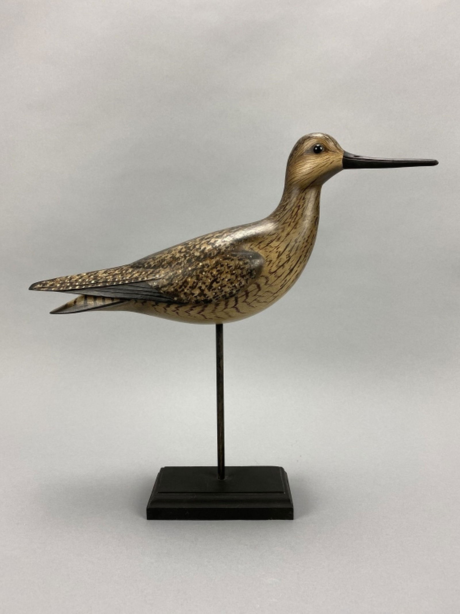 William Gibian Yellowlegs Shorebird (1 of 11)