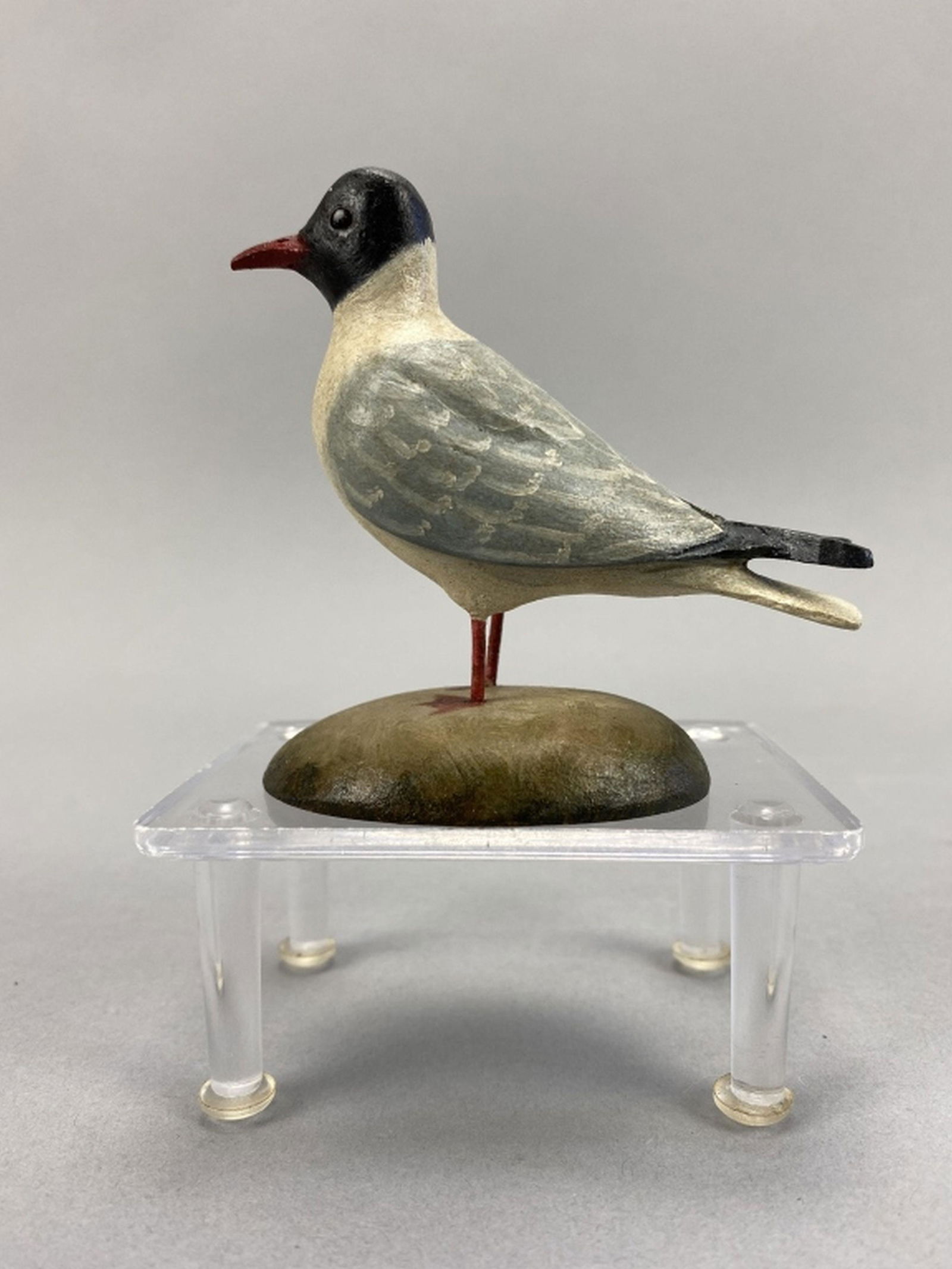 Frank Finney Black-Headed Gull Miniature (1 of 6)