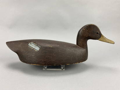 William Clarke Black Duck Decoy: Toronto, ONT, glass eyes, solid body, original paint with subtle paint scratch detail, has bill repair, light wear, overall nice example, 16.5"L, est. 200 - 300