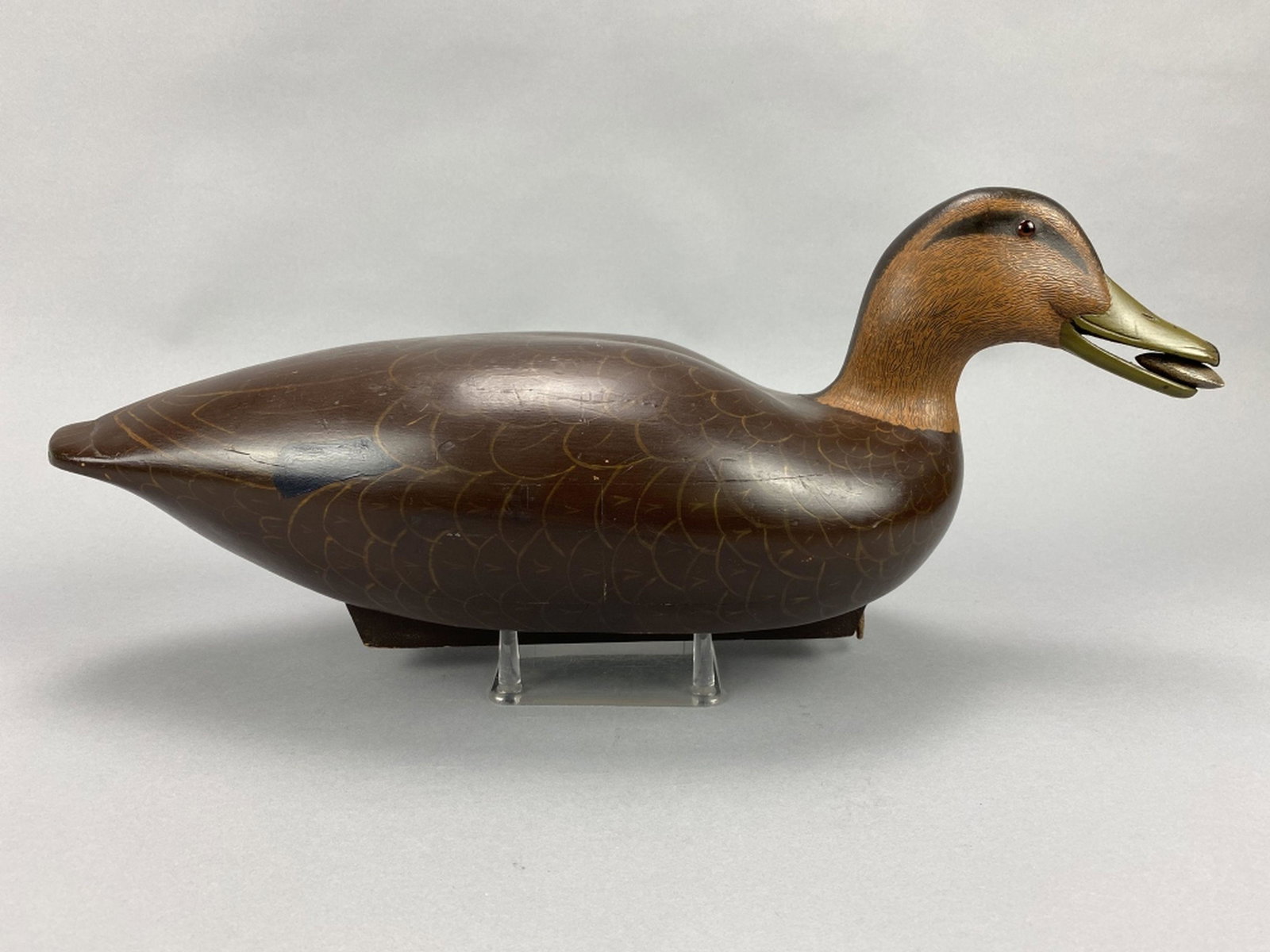 Black Duck Decoy (1 of 7)