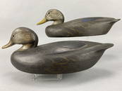 2 Ken Anger Black Duck Decoys