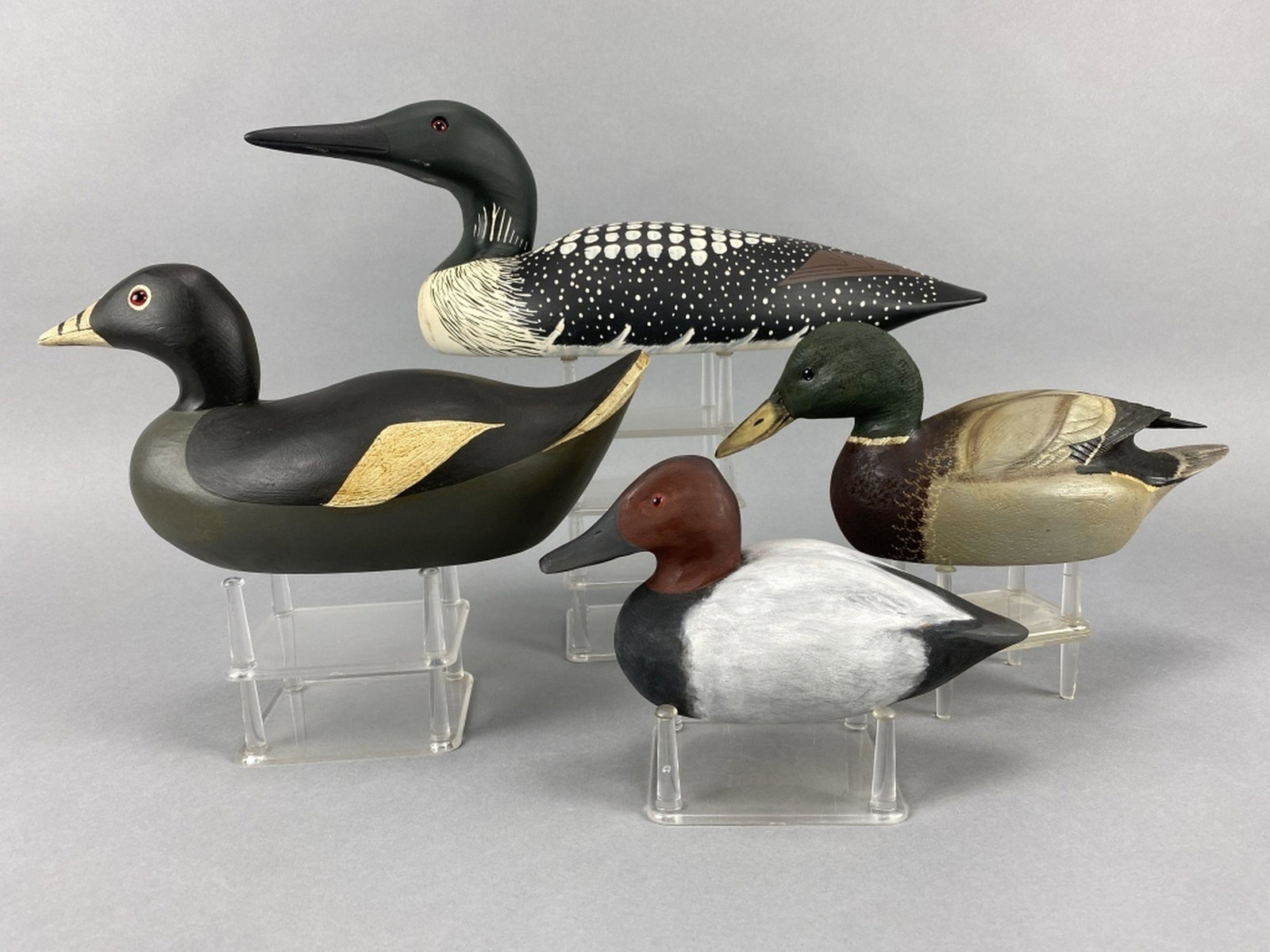 4 Duck Decoys: 1 loon by The Decoy Shop, 16.5"L, 1 Mason replica coot, 12"L, 1 Ralph Malpage 1/3 sized mallard drake, in excellent condition, 11"L, & 1/3 sized canvasback drake by unknown, 8"L, all from the William