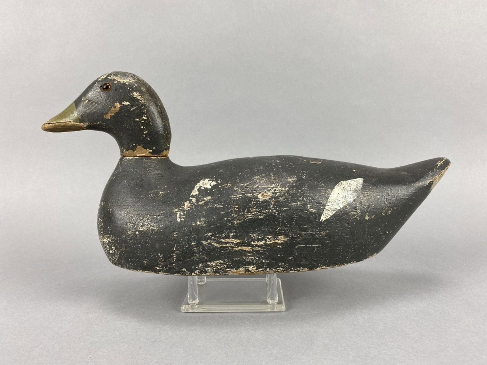 Evans Coot Duck Decoy (1 of 4)