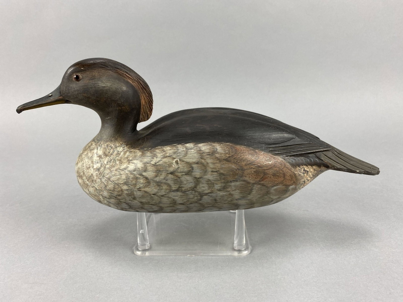 George Walker Hooded Merganser Hen (1 of 4)