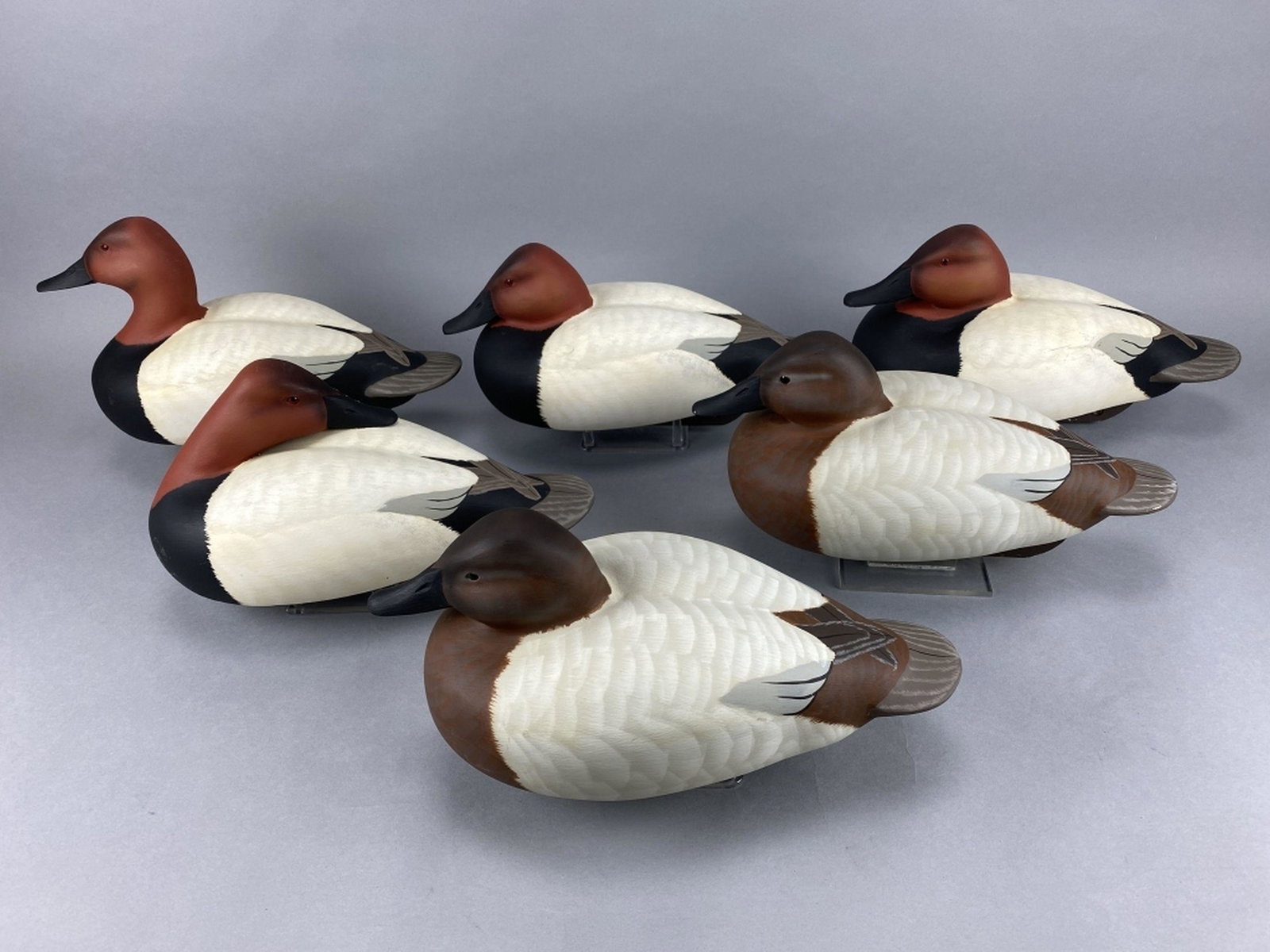 6 Bill Conroy Canvasback Duck Decoys (1 of 4)