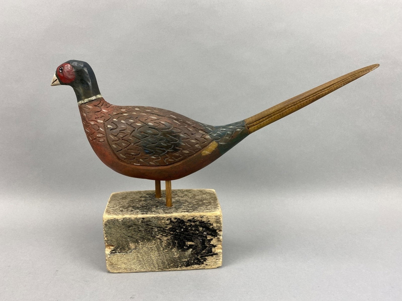 Ringneck Rooster Pheasant (1 of 4)