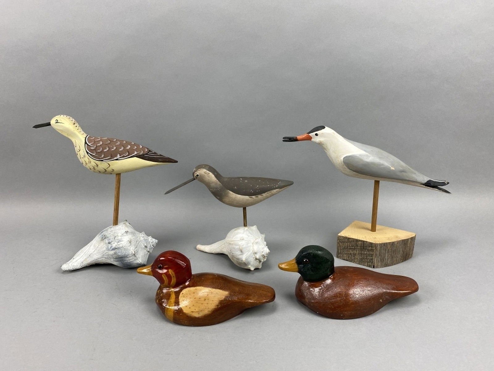 3 Shorebirds & 2 Ducks (1 of 4)