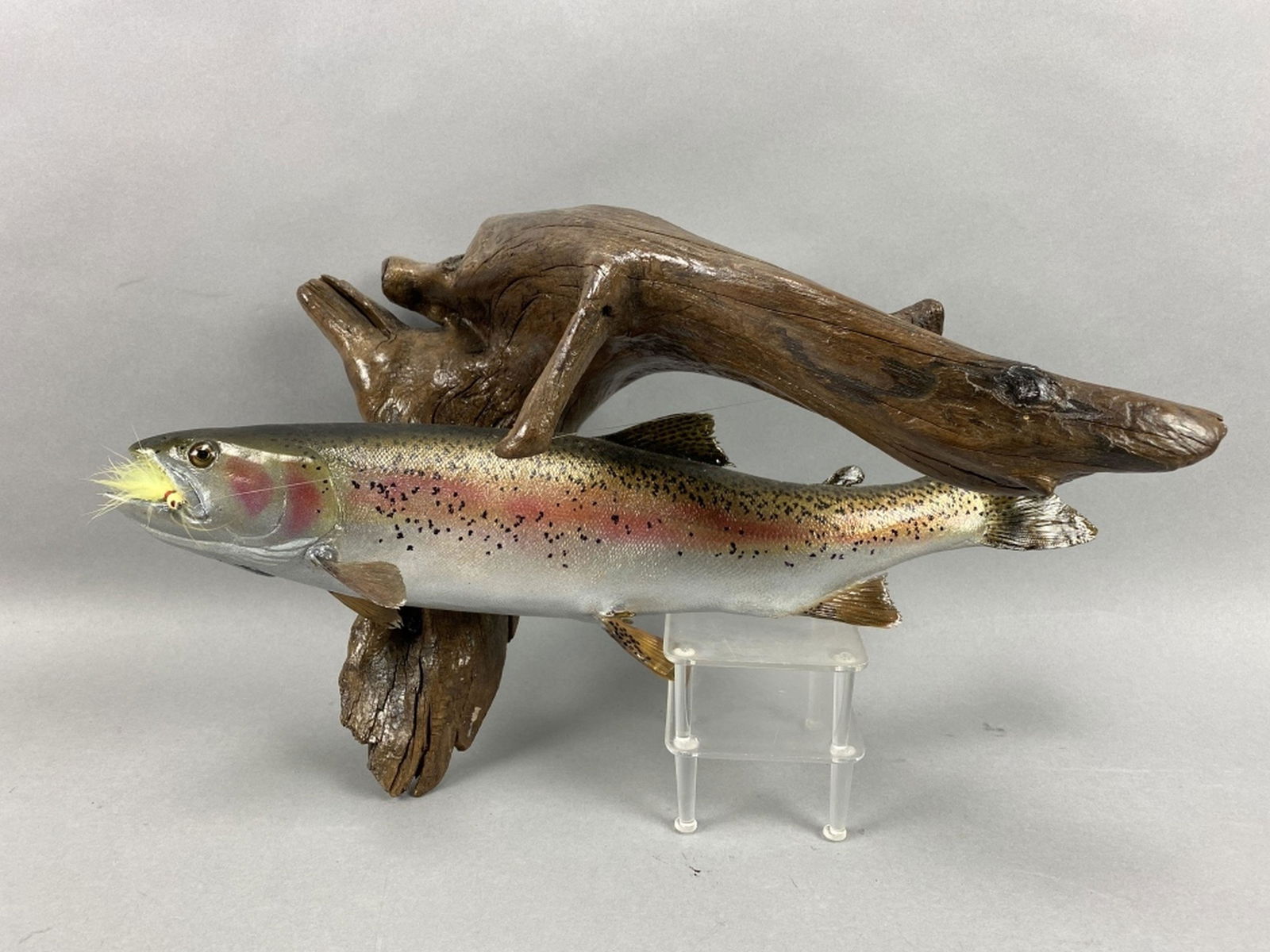 Rainbow Trout Taxidermy Mount (1 of 5)