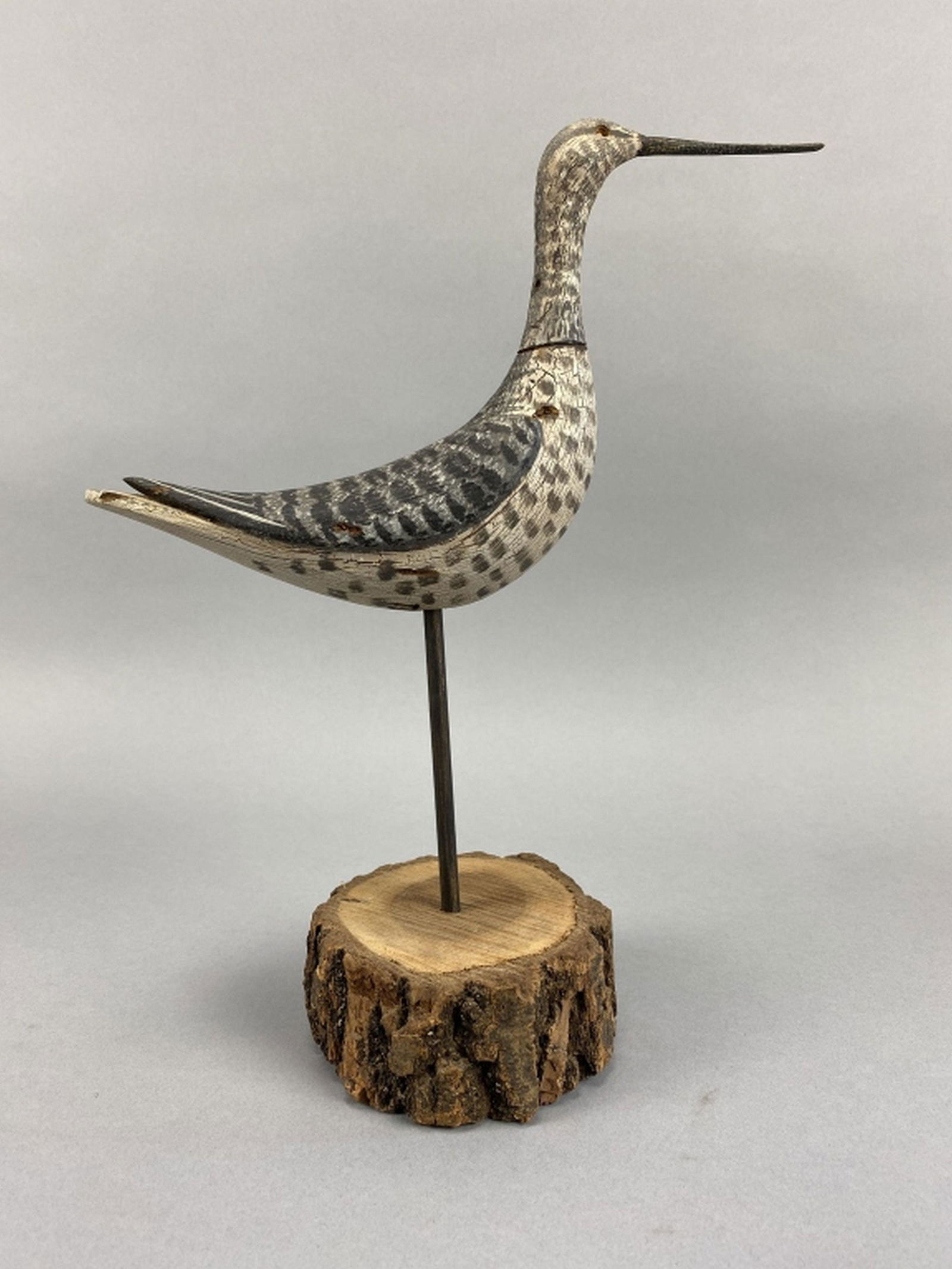 T.J. Hooker Shorebird (1 of 6)