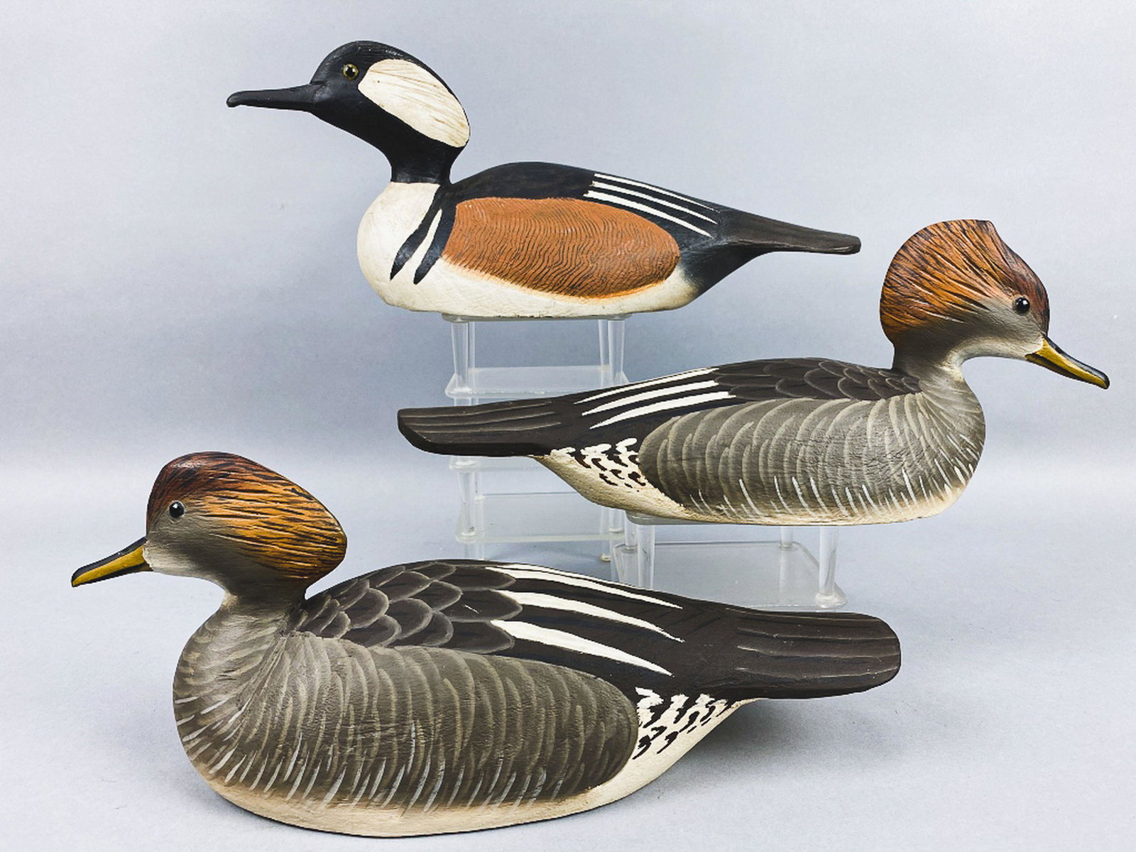 3 Grayson Chesser Hooded Mergansers (1 of 17)
