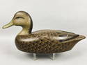 Reg Bloom Black Duck Decoy