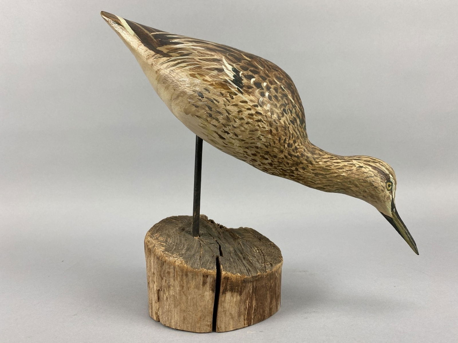 Rare Shorebird by Unknown Carver (1 of 8)