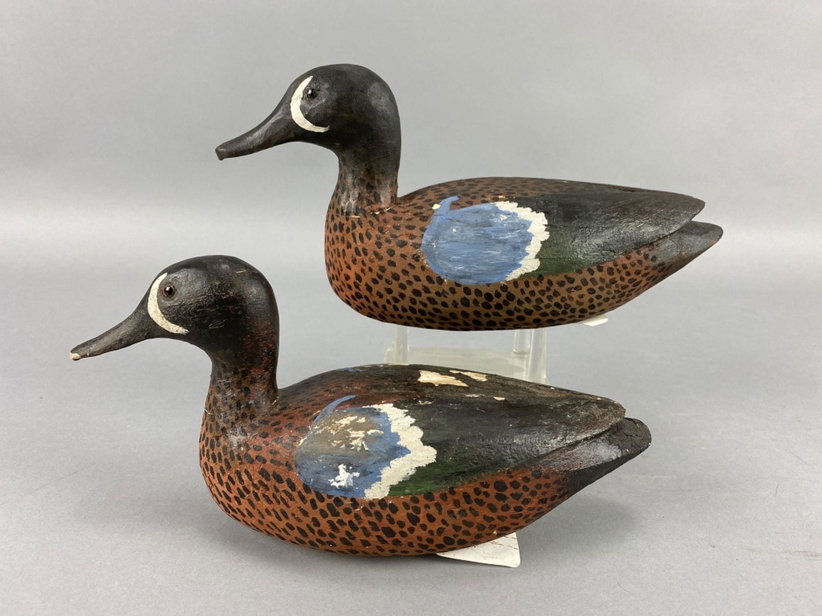 2 Reme Roussell Blue-Winged Teal Drakes (1 of 11)