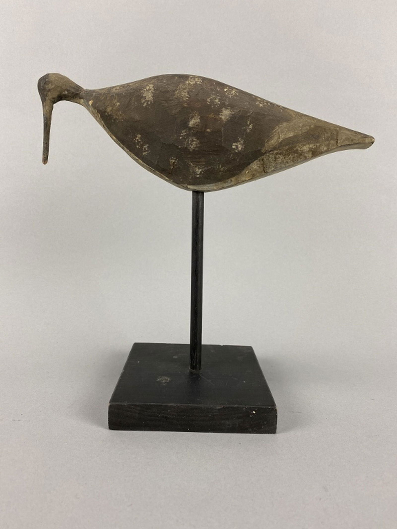 Rare Yellowlegs Shorebird (1 of 7)