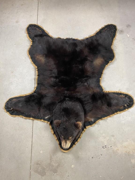 Black Bear Taxidermy Rug (1 of 13)