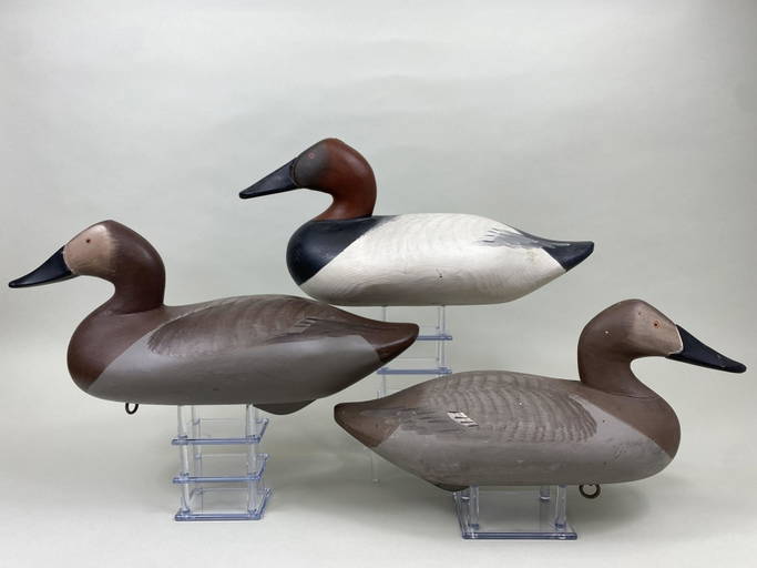 3 Chesapeake Bay Canvasback Duck Decoys