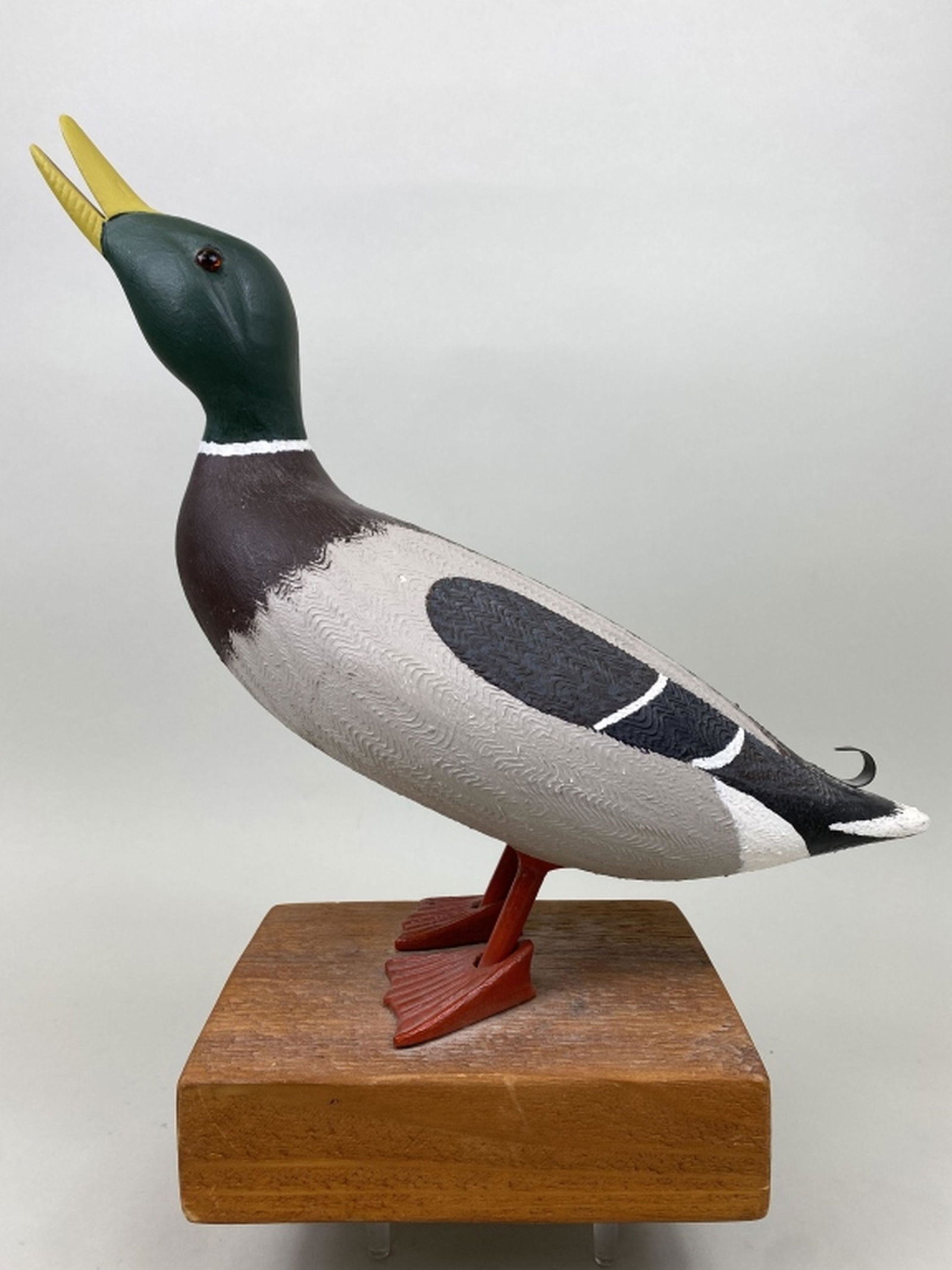 Standing Mallard Drake (1 of 6)
