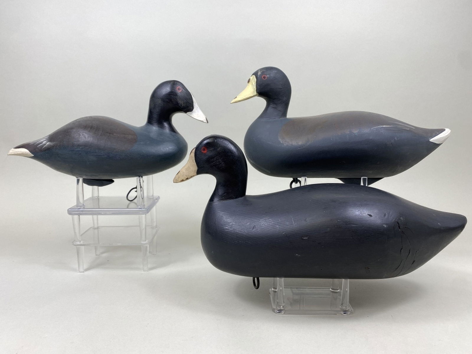 3 Coot Decoys Auction