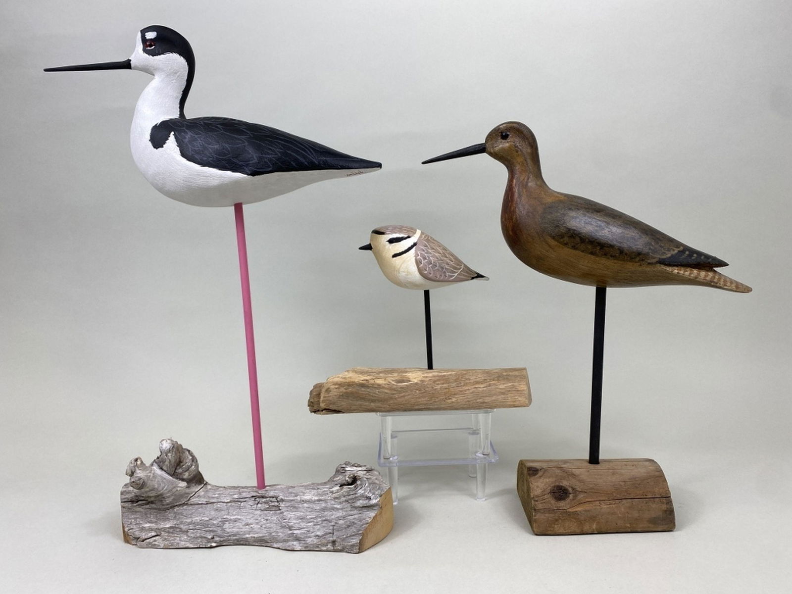 3 Shorebirds (1 of 10)